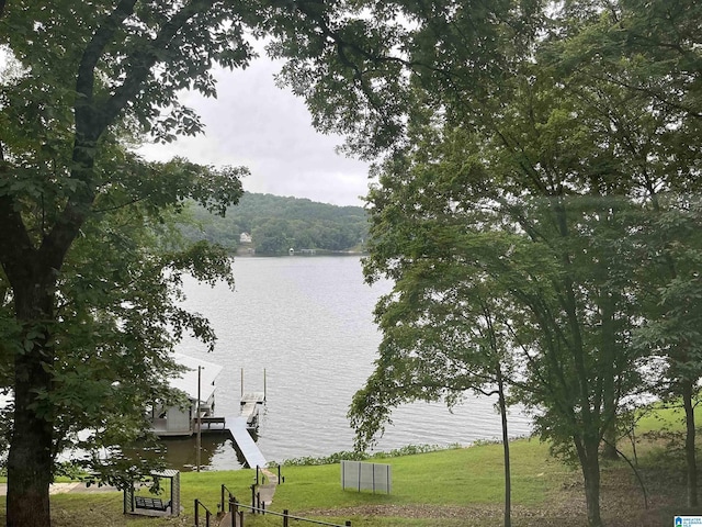 840 Black Acres Rd, Cropwell, AL 35054 - water view with a boat dock