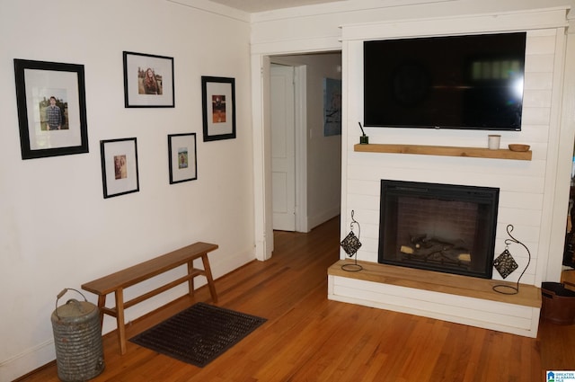 702 4th St SW, Childersburg, AL 35044 - living room featuring wood finished floors and a fireplace