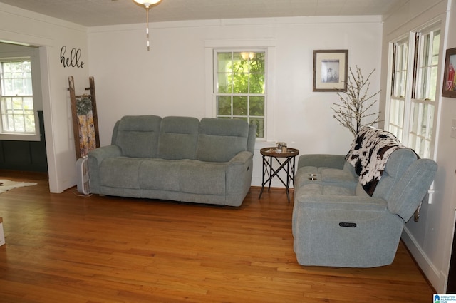 702 4th St SW, Childersburg, AL 35044 - living room featuring light wood-type flooring