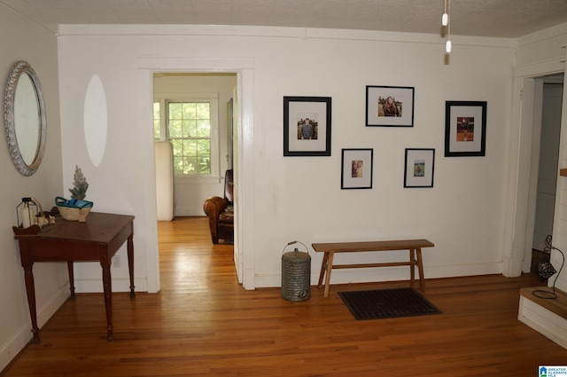 702 4th St SW, Childersburg, AL 35044 - hallway featuring light wood-style flooring