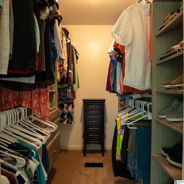 7835 Windsong Dr, Trussville, AL 35173 - walk in closet featuring carpet floors