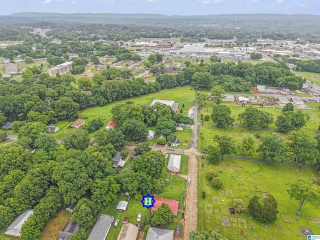 606 W Pine St, Sylacauga, AL 35150 - drone / aerial view
