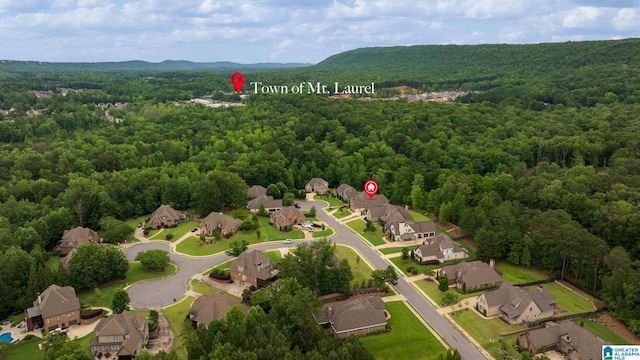 2000 Regency Way, Birmingham, AL 35242 - aerial view of residential area with a forest