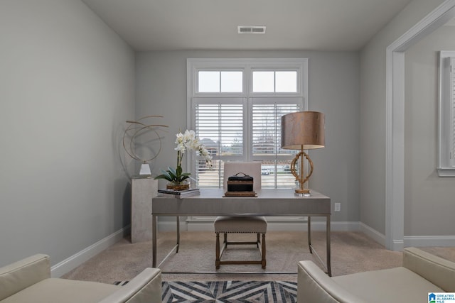 2000 Regency Way, Birmingham, AL 35242 - home office with carpet floors and baseboards