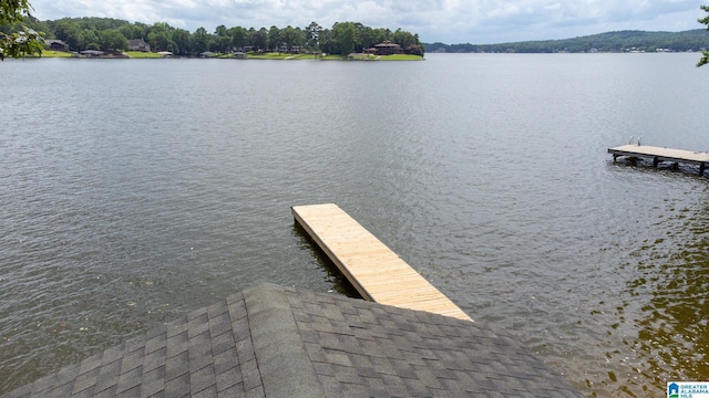 442 Lakeview Cir, Alpine, AL 35014 - dock featuring a water view