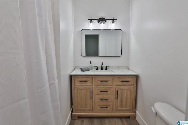 442 Lakeview Cir, Alpine, AL 35014 - full bathroom featuring vanity, wood finished floors, and a shower with curtain
