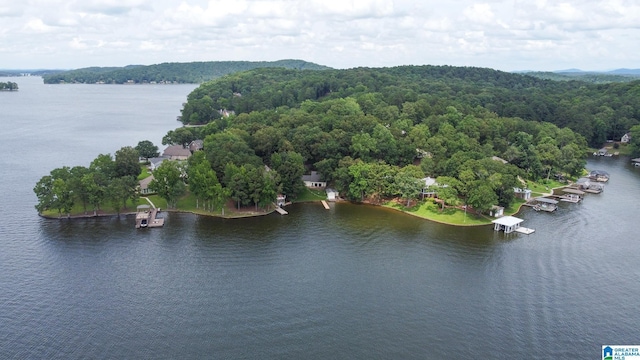 442 Lakeview Cir, Alpine, AL 35014 - drone / aerial view of a large body of water and a heavily wooded area