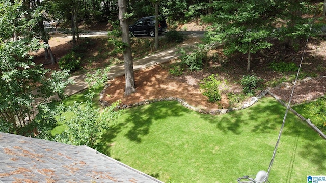 442 Lakeview Cir, Alpine, AL 35014 - view of green lawn