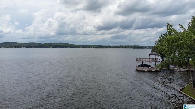 442 Lakeview Cir, Alpine, AL 35014 - water view featuring a boat dock