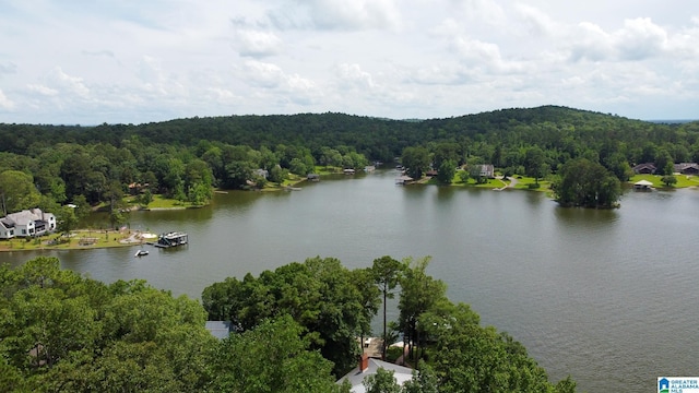 442 Lakeview Cir, Alpine, AL 35014 - water view featuring a forest