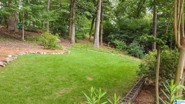 442 Lakeview Cir, Alpine, AL 35014 - view of grassy yard
