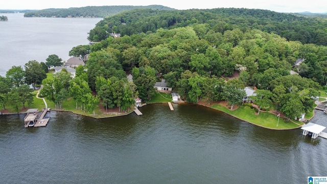 442 Lakeview Cir, Alpine, AL 35014 - bird's eye view of a large body of water and a forest