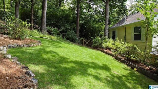 442 Lakeview Cir, Alpine, AL 35014 - view of green lawn