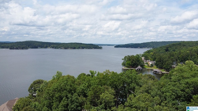442 Lakeview Cir, Alpine, AL 35014 - water view featuring a heavily wooded area