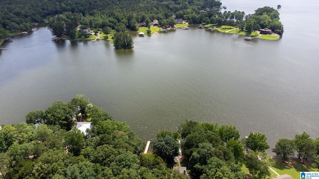 442 Lakeview Cir, Alpine, AL 35014 - bird's eye view of a large body of water