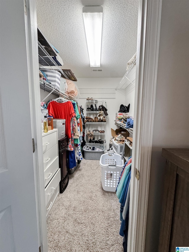 489 Bailey Loop Rd, Gardendale, AL 35071 - spacious closet featuring carpet