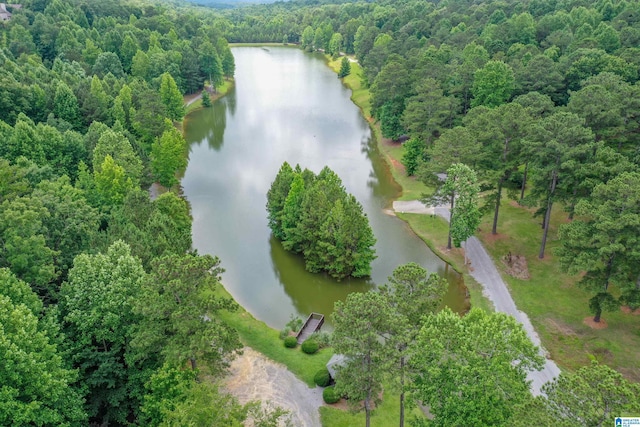 5668 Carrington Lake Pkwy, Trussville, AL 35173 - aerial overview of property's location with a large body of water and a heavily wooded area