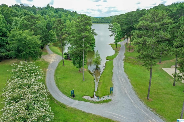 5668 Carrington Lake Pkwy, Trussville, AL 35173 - bird's eye view of a nearby body of water