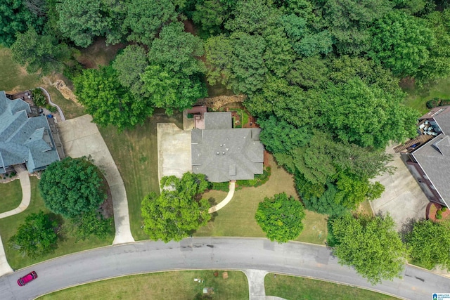 5668 Carrington Lake Pkwy, Trussville, AL 35173 - aerial view of property and surrounding area