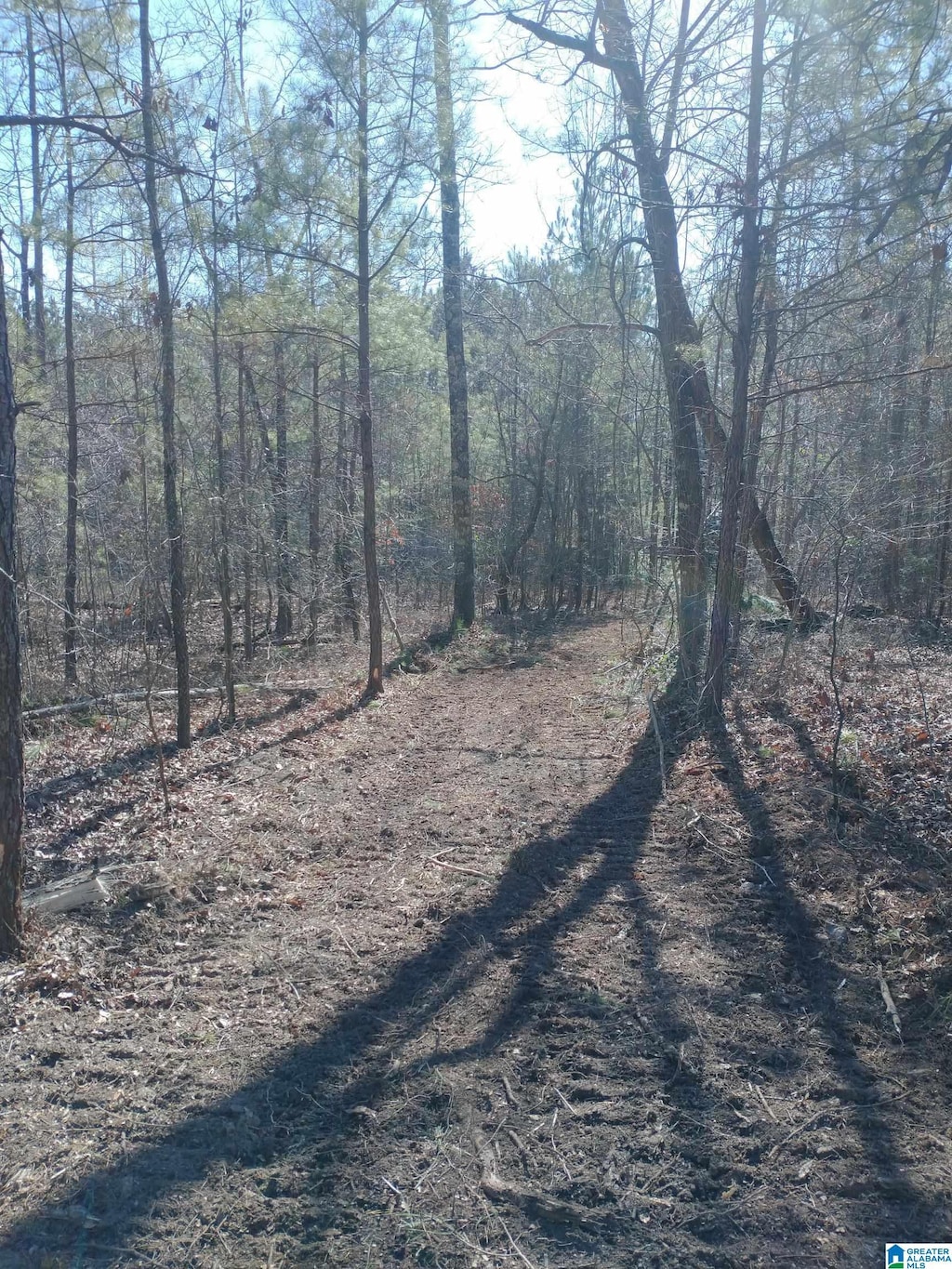 4 Sweet Apple Rd Unit 7, Pell City, AL 35128