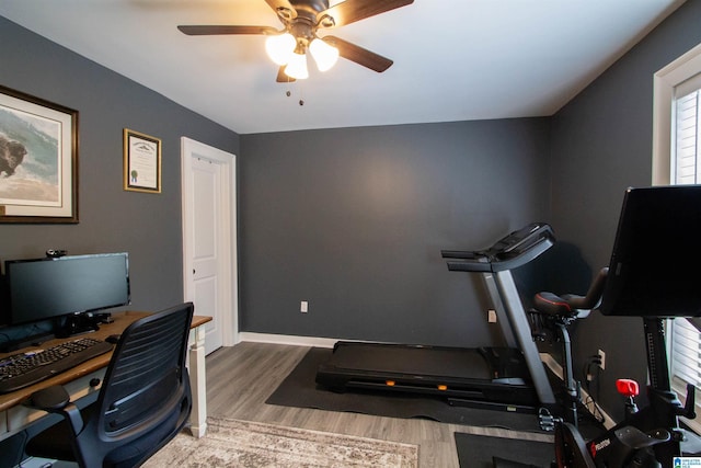 5250 Kate Cv, Trussville, AL 35173 - office featuring wood finished floors and ceiling fan