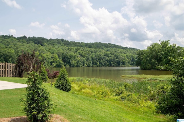 5250 Kate Cv, Trussville, AL 35173 - water view with a heavily wooded area