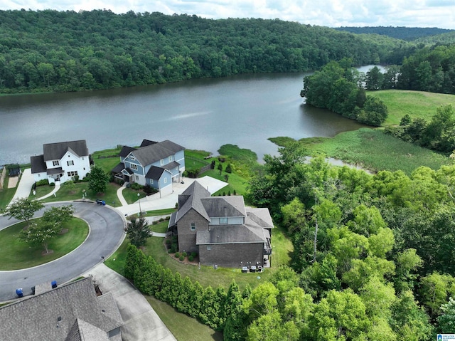 5250 Kate Cv, Trussville, AL 35173 - aerial view of a heavily wooded area and a nearby body of water