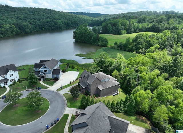 5250 Kate Cv, Trussville, AL 35173 - aerial view of a forest and a large body of water