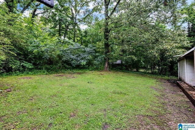 1821 4th St NW, Center Point, AL 35215 - view of green lawn