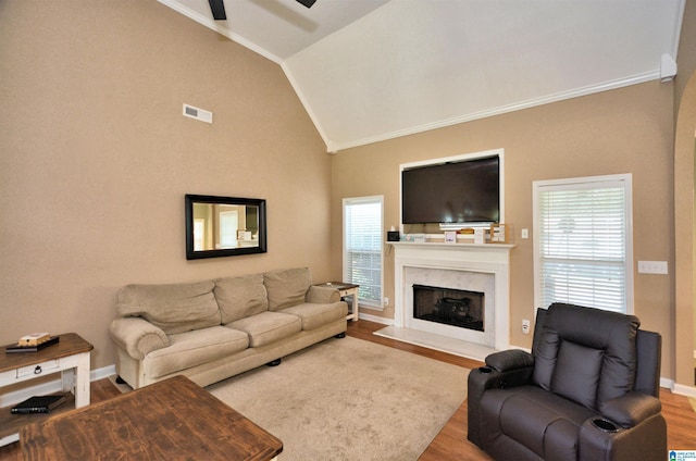 401 Waterford Highlands Way, Calera, AL 35040 - living area with ornamental molding, a ceiling fan, vaulted ceiling, wood finished floors, and a premium fireplace