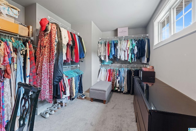 1221 Grants Way, Irondale, AL 35210 - spacious closet with carpet