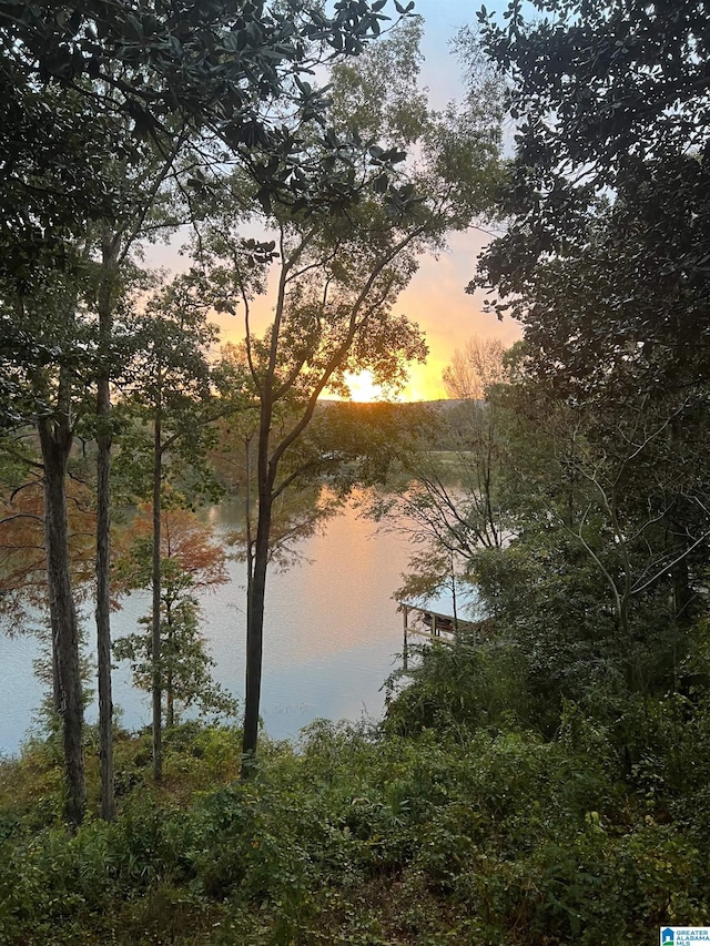 26718 Bridge Ln, Andalusia, AL 36421 - water view