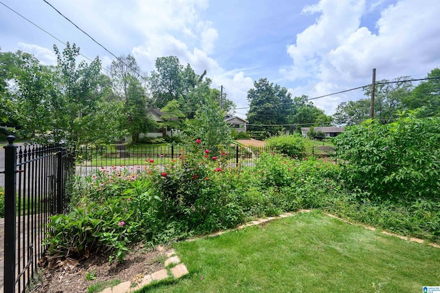 5100 7th Ct S, Birmingham, AL 35212 - view of yard