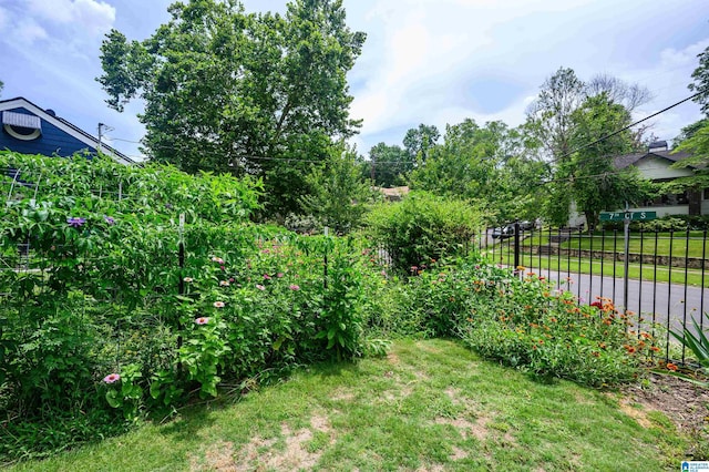 5100 7th Ct S, Birmingham, AL 35212 - view of yard