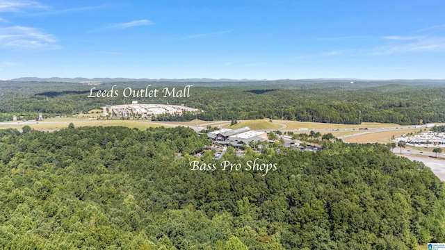 8681 Mohring Pl, Leeds, AL 35094 - aerial view of a forest