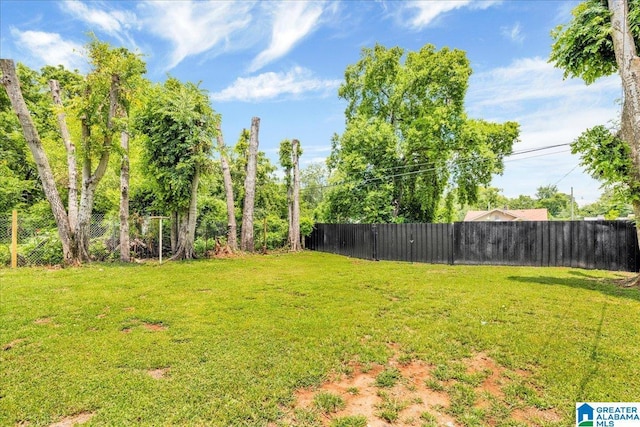 1125 SW 15th St, Birmingham, AL 35211 - view of yard