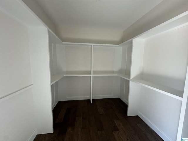 7733 Springer Rd, Mccalla, AL 35111 - view of pantry
