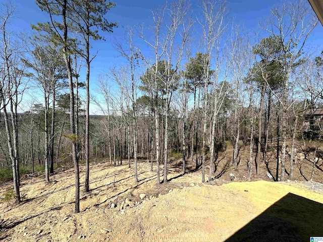 7733 Springer Rd, Mccalla, AL 35111 - view of yard