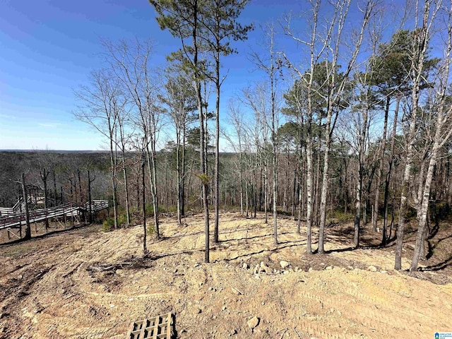 7733 Springer Rd, Mccalla, AL 35111 - view of woods