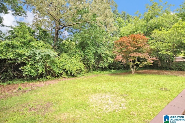 532 Hickory St, Birmingham, AL 35206 - view of grassy yard