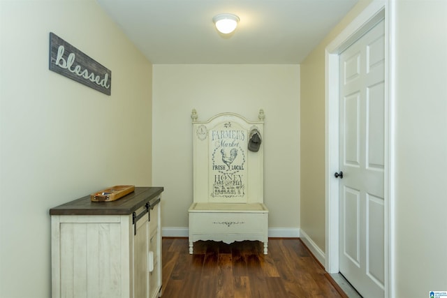 8587 Hayes Rd, Helena, AL 35022 - hallway with dark wood-style floors and baseboards