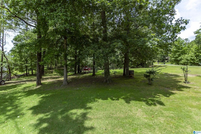 8587 Hayes Rd, Helena, AL 35022 - view of grassy yard