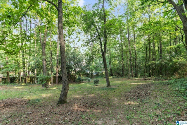 2005 Crossvine Rd, Hoover, AL 35244 - view of yard