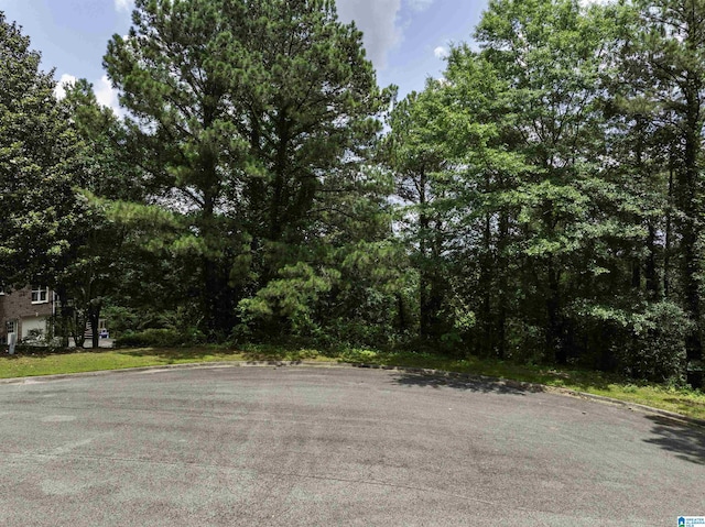 1829 Southview Cir Unit 7, Hoover, AL 35244