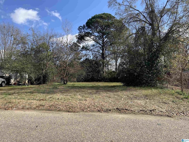 426 Glenmore Rd Unit 13, Montgomery, AL 36107