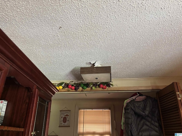 92 Briar Hill Loop, Wetumpka, AL 36092 - detailed view of ornamental molding and a textured ceiling