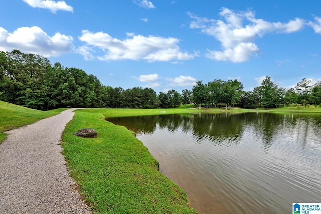 5557 Lakes Edge Dr, Hoover, AL 35242 - water view