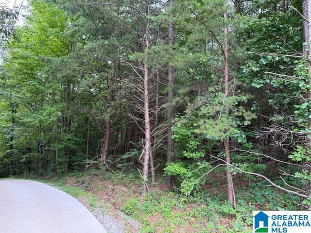5660 Greenleaf Way Unit 000, Bessemer, AL 35022