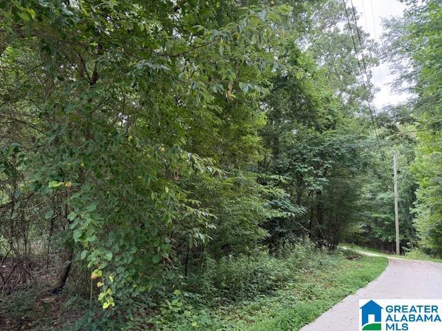 5660 Greenleaf Way Unit 000, Bessemer, AL 35022