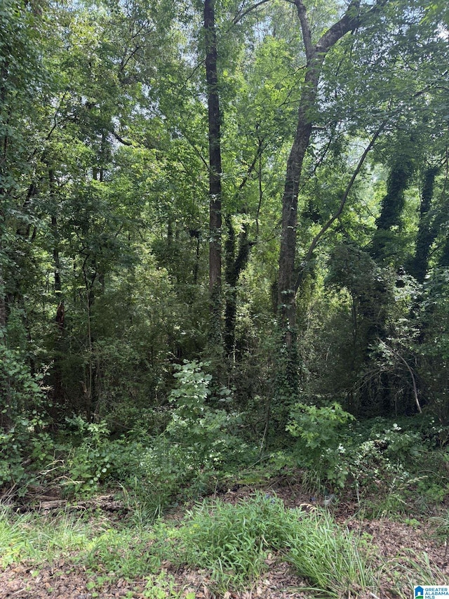8215 Baker Ave Unit 4 & 5, Leeds, AL 35094